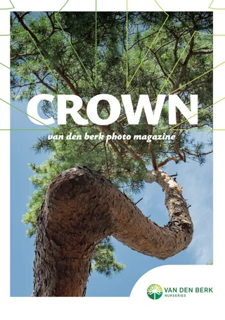 Cover van CROWN, het fotomagazine van Van den Berk Nurseries, met een afbeelding van een kronkelende boomstam en groene boomkruin tegen een blauwe lucht. Het logo van Van den Berk staat onderaan.
