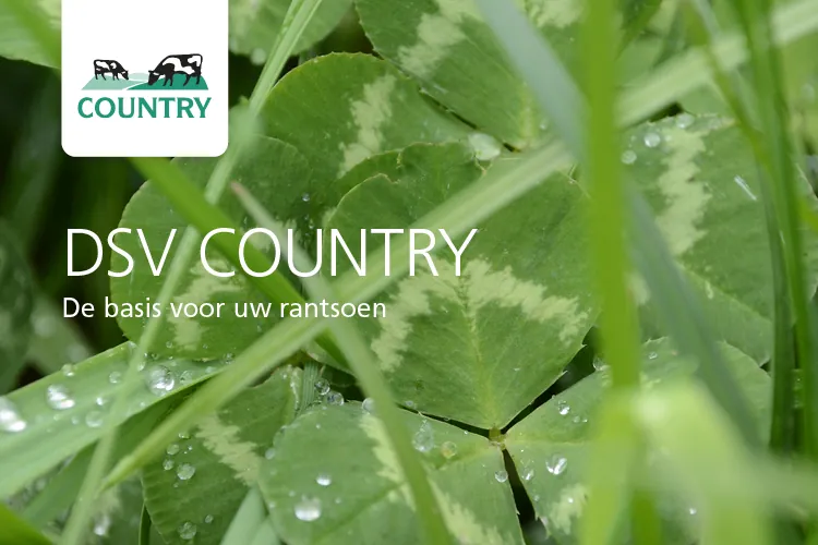 Achtergrond met bladeren met de tekst: DSV COUNTRY, de basis voor uw rantsoen.