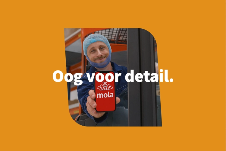 app-mola-voor-cases-ow6.webp
