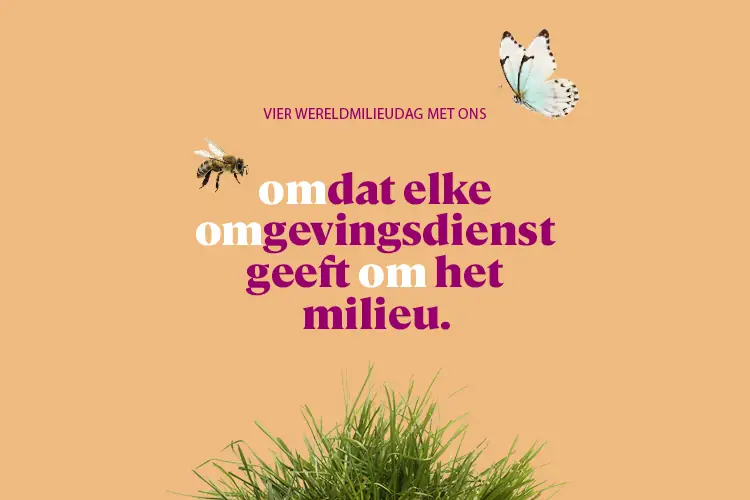Illustratie met een bij, een vlinder en groen gras op een oranje achtergrond. Tekst: