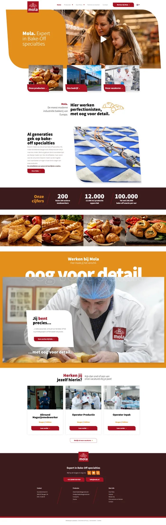 website-preview_014.webp